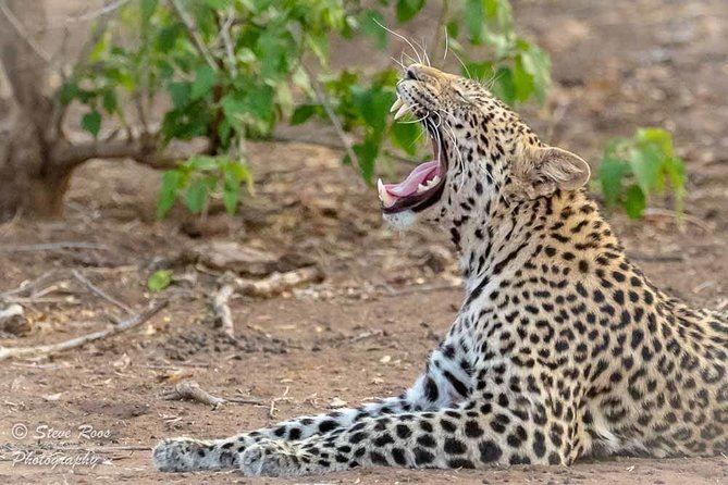 4 Days Luxury Lodge Safari Tour Tanzania - How This 4-Day Luxury Safari Circuit Works