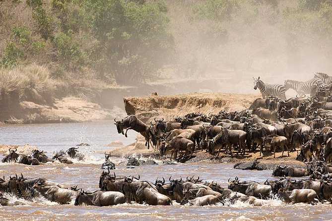 4 Days Luxury Lodge Safari Tour Tanzania - Day 1, Tarangire for Elephant Herds and Tarangire Sopa Lodge