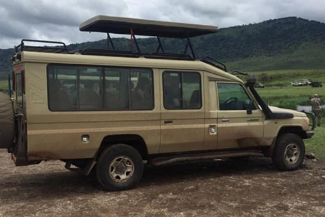 4 days luxury safari (a dream experience) - From Arusha to Serengeti, the day you land and go hunting