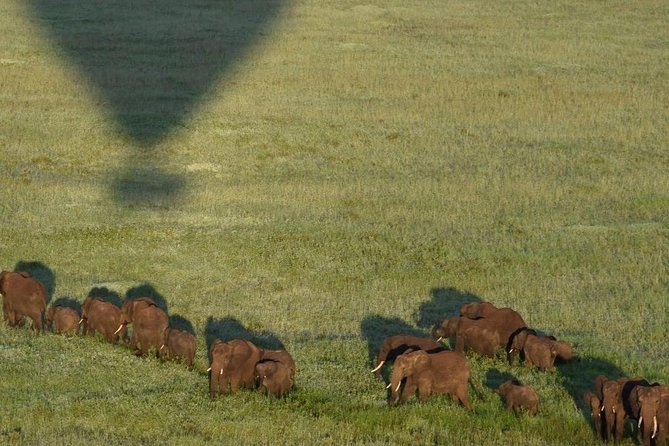 4 days luxury safari (a dream experience) - Day 3: leaving Serengeti, arriving on the crater rim