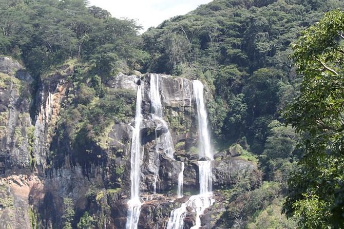 4 Days Mikumi & Udzungwa National Parks Safari - Day 3 inside Mikumi all day: more time, better odds