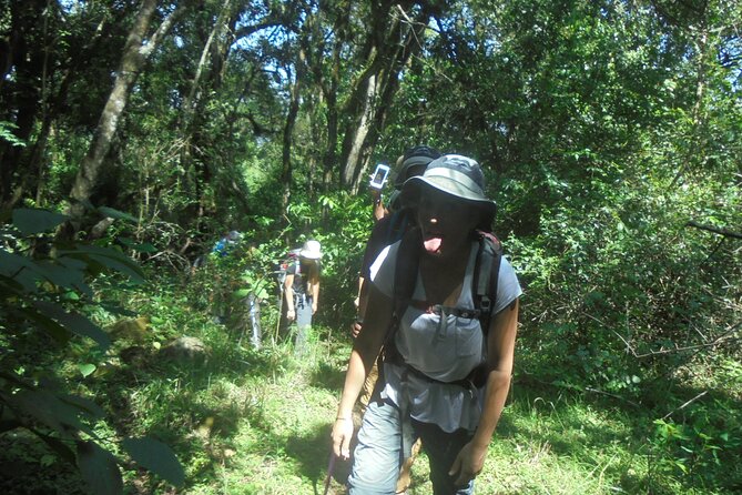4 Days Mount Meru Climbing | Hiking | Trekking Tour - Day 3 summit night starting around 1:30 a.m.: Rhino Point, Cobra Point, and 4,566 m sunrise