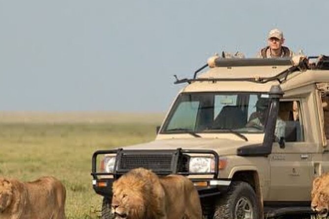 4 Days Private Arusha National Park, Serengeti, Ngorongoro Tour - Why This 4-Day Route Works So Well