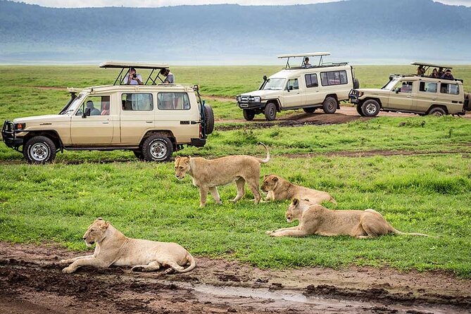 4 Days Private Midrange Lodge Safari to Serengeti & Ngorongoro - The people factor: Brighton, Lewis, Bosko, Tito, and Ali