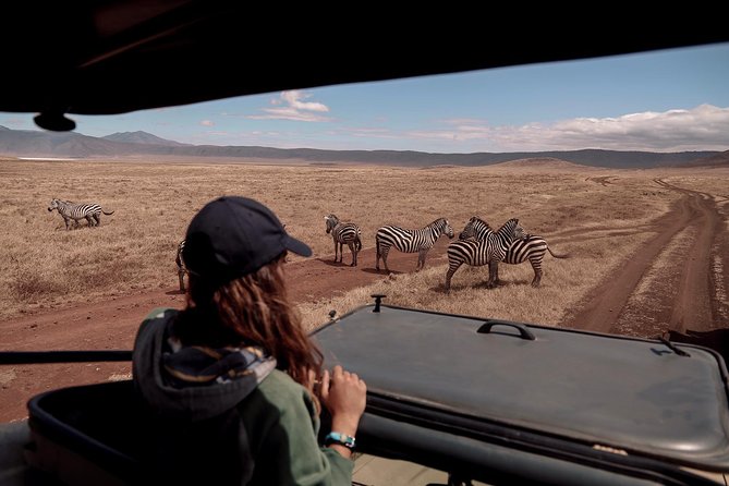 4-Days Private Midrange Safari Tarangire, Serengeti & Ngorongoro - Day 3: Early Serengeti game drive for quieter action, then onward to Ngorongoro