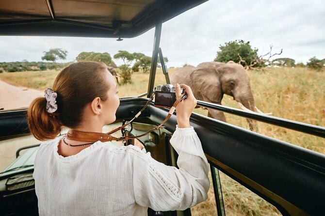 4-Days Private Midrange Safari Tarangire, Serengeti & Ngorongoro - Day 1: Lake Manyara, a strong warm-up with Jungle Pearl Resort