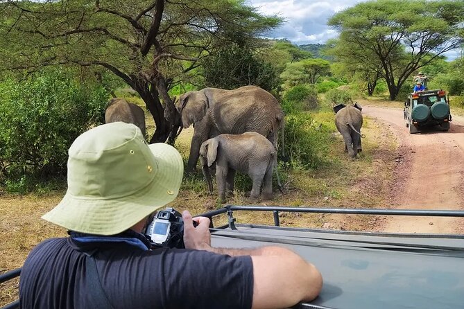 4-Days Private Midrange, Tarangire Ngorongoro, Manyara & Materuni - Lake Manyara: Birdlife, Forest Edges, and the Tree-Climbing Lion Story