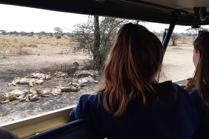 4-Days Private Midrange, Tarangire Ngorongoro, Manyara & Materuni - Tarangire National Park: Elephants, Baobabs, and Riverbank Watching
