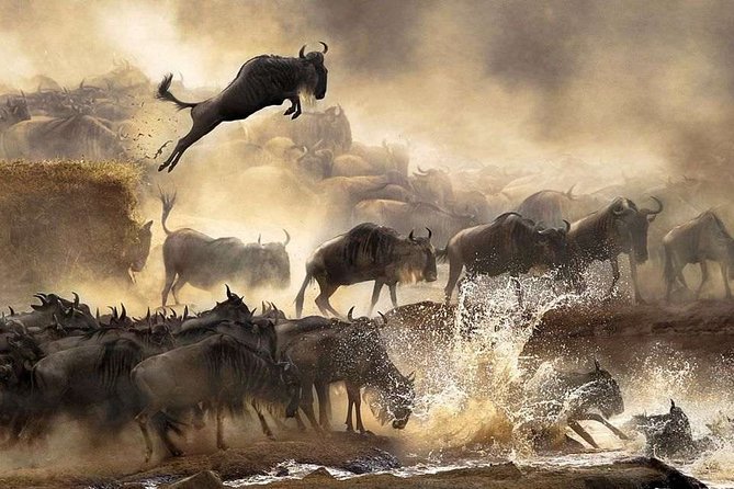 4 days Private Safari Tour Tanzania - Price and Value: What $2,500 Per Person Really Buys