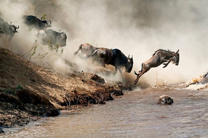 4 days Private Safari Tour Tanzania - Who This Safari Fits Best