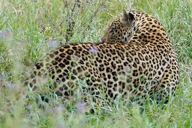 4 Days Private Tour Tarangire Crater and Serengeti - Key Highlights at a Glance