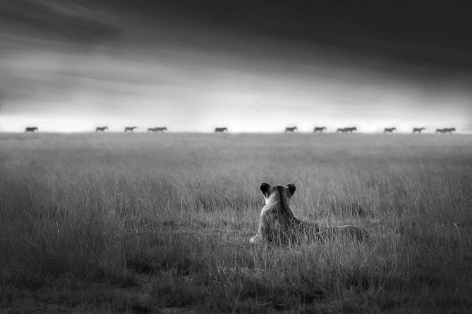4 days safari in Tanzania - 4 Days in Tanzania: What You Can Expect to Feel and See