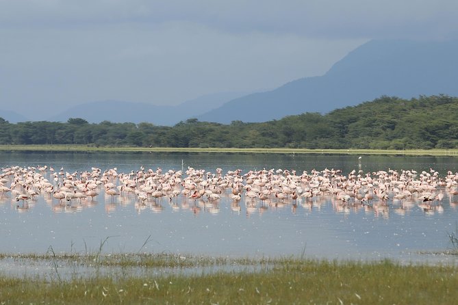 4 days safari in Tanzania - Ngorongoro crater on day 4: descending over 600 meters