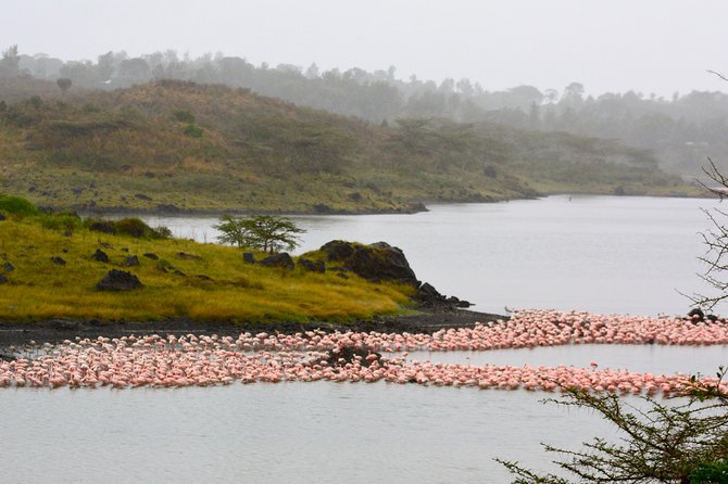 4 days Safari Lake Manyara, Ngorongoro crater and Serengeti - Serengeti half-day viewing: Where big plain game still roams