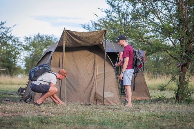 4 Days safari Tour Tanzania - Day 1: Tarangire from Arusha, elephants and baobabs first