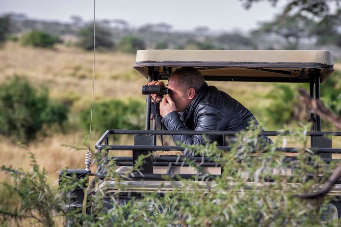 4 Days safari Tour Tanzania - Day 3: Sunrise Serengeti, bush breakfast, then Ngorongoro at night