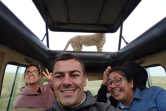 4 Days safari Tour Tanzania - Camping setup, meals, and the comfort of a pop-roof jeep