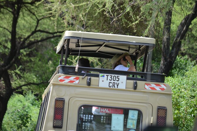 4 days serengeti & ngorongoro mid range tour - A Northern Circuit Safari That Balances Comfort and Time