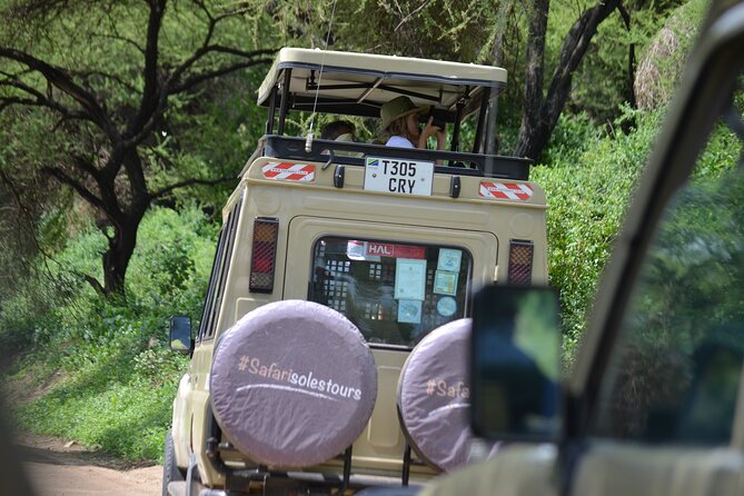 4 days serengeti & ngorongoro mid range tour - Day One at Tarangire: A Full Day for Predators and Big Herbivores