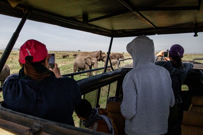 4 Days Tanzania Budget Safari - Day 4 Ngorongoro Crater: the big descent, Lake Magadi, and predator hunting