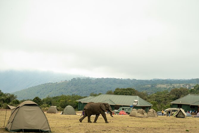4 Days Tanzania Budget Safari - Camping in the Ngorongoro area and on safari nights: what’s included, what’s on you
