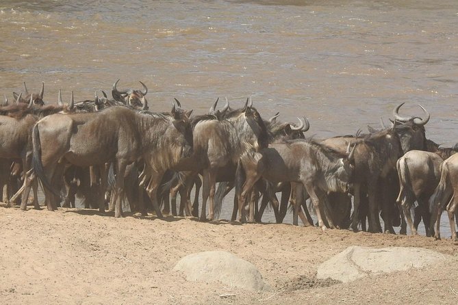 4 Days:tanzania Budget Safari - Day 1: Arrive in Arusha, Get Settled, and Start Fresh