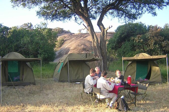 4 Days Tanzania Camping Safari - Ngorongoro Conservation Area: sunrise energy, crater-rim views, and the day’s payoff