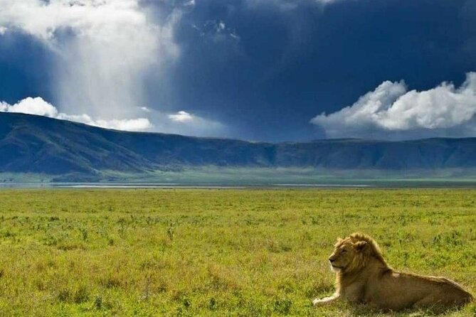 4 Days Tanzania Camping Safari - The guide makes or breaks your spotting success