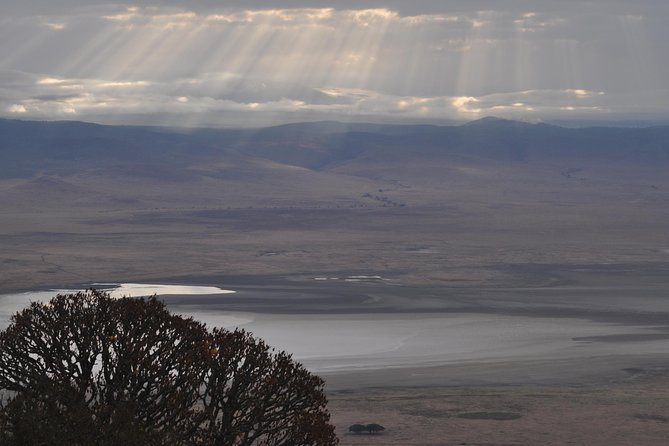 4 days Tanzania group safari to Serengeti, Crater and Tarangire - Day 4 Ngorongoro Crater: rhinos, hippos, and that big crater bowl feeling