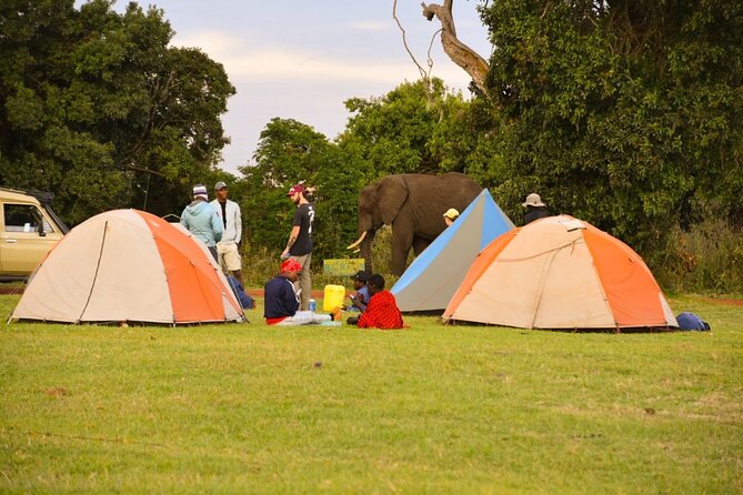 4 days Tanzania group safari to Serengeti, Crater and Tarangire - Guides make the difference, and the names matter