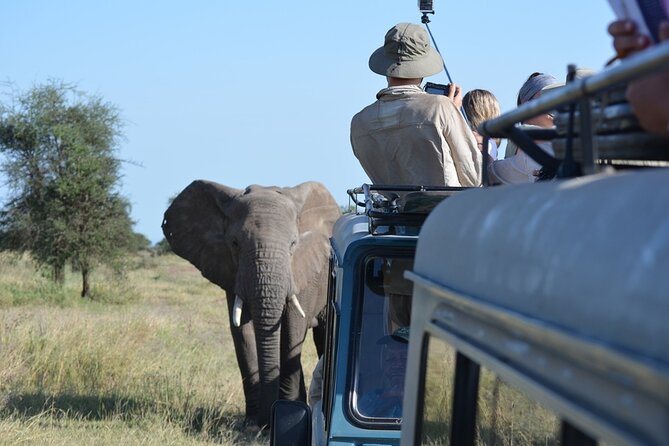 4 Days Tanzania Lodge Safari With Two Nights at Serengeti - The drive into Serengeti: why the Seronera area is a smart target