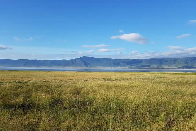 4 Days Tanzania Luxury Safari - Price and logistics: is $2,288 per person worth it?