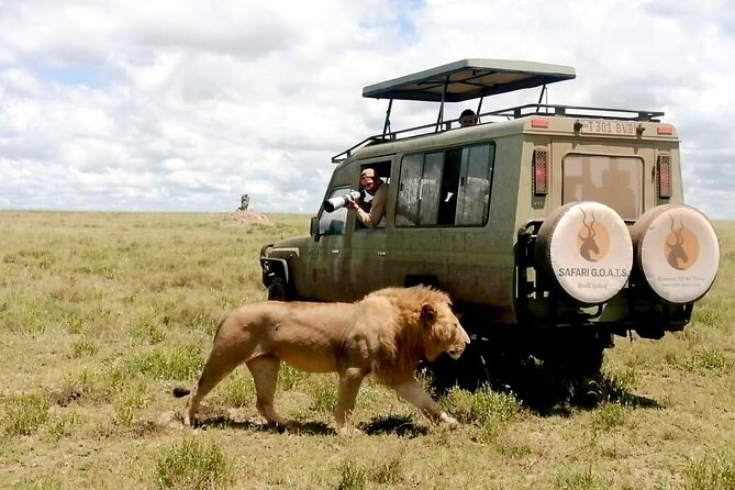 4 Days Tanzania Private Lodge Safari - Day 2: Serengeti arrival via Ngorongoro transit, plus a Maasai village option