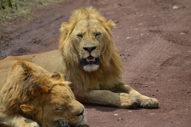 4 Days Tanzania Private safari to Serengeti ,ngorongoro crater and Tarangire - Ngorongoro Crater: 610 meters down, with rhino as the prize