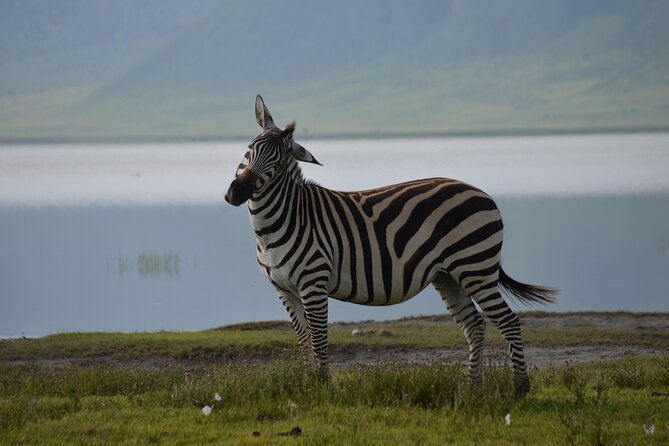 4 Days Tanzania Private safari to Serengeti ,ngorongoro crater and Tarangire - Serengeti arrival via Manyara and Rift Valley scenery