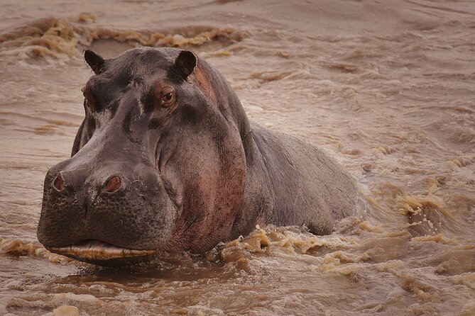 4 Days Tanzania Safari - Guides and the Small-Team Feel With Wildgem Expeditions