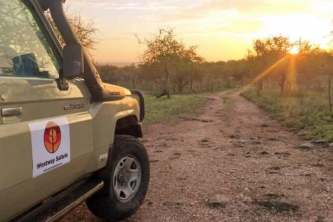 4 Days Tanzania Safari Experience - Day 2: Serengeti Arrival, Gate Views, and Sunset Game Drive