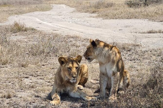 4 Days Tanzania Safari Experience - Price and Logistics: What $2,300 Covers, and What Can Add Up