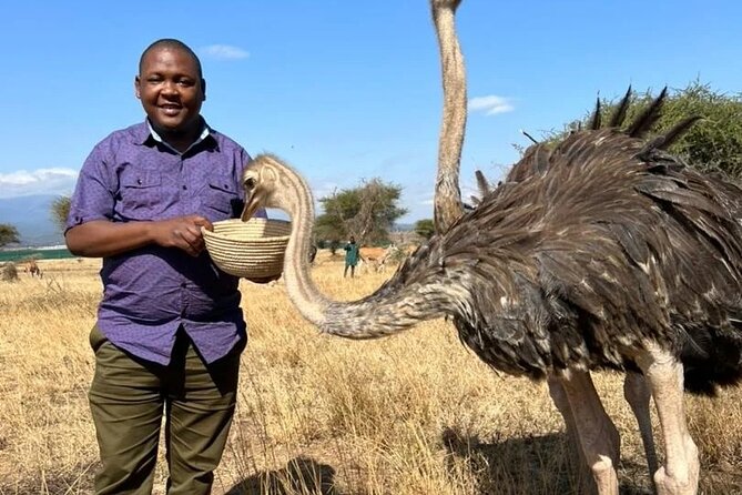 4 Days Tanzania Safari Tarangire, Serengeti and Ngorongoro Crater - Day 4 Ngorongoro crater floor: 5 to 6 hours for your best Big Five shot