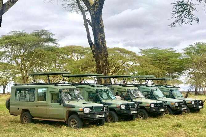 4 Days Tanzania Safari Tour - Guide quality and safety, what the names suggest