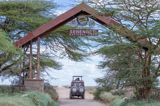 4 Days Tarangire , Ngorongoro ,Manyara and lake Eyasi village - Starting early near Kilimanjaro: how the pace shapes your safari