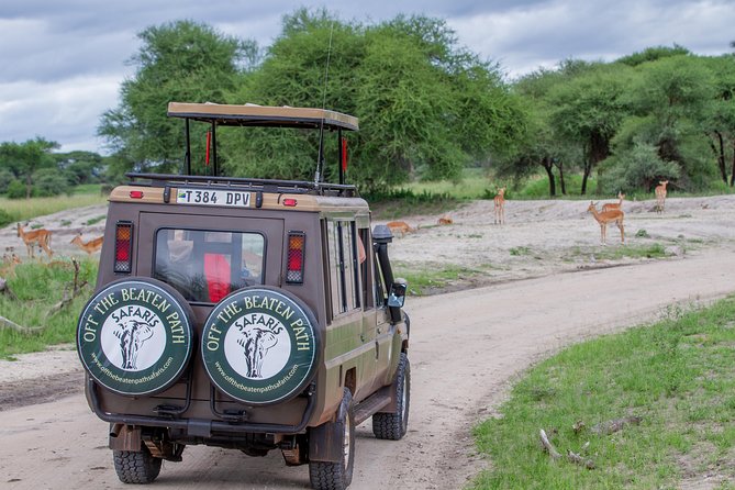 4 Days Tarangire , Ngorongoro ,Manyara and lake Eyasi village - Lake Eyasi: Hadzabe and Datoga, animal tracking, and medicinal plant knowledge