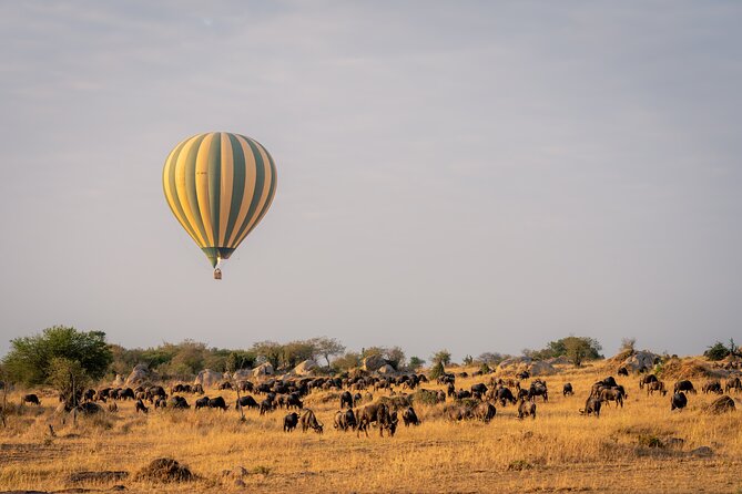 4 Days Tarangire, Serengeti and Ngorongoro Mid-Range Group Safari - Day 1 in Tarangire National Park: Baobabs, Elephants, and a Long First Game Drive