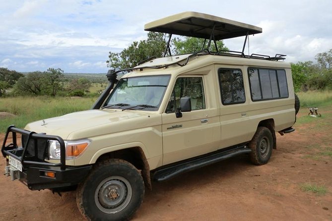 4 days Tarangire, Serengeti & Ngorongoro - Safari Value From Arusha: What This 4-Day Big Five Route Really Includes