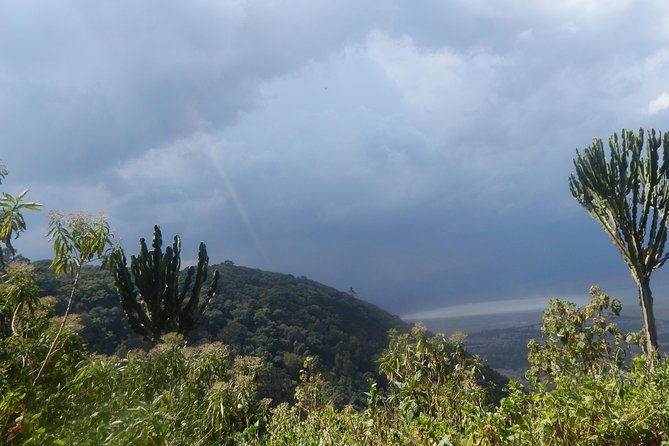 4 days Tarangire, Serengeti & Ngorongoro - Day 4 on the Crater Floor: Big Five Chances at Ngorongoro