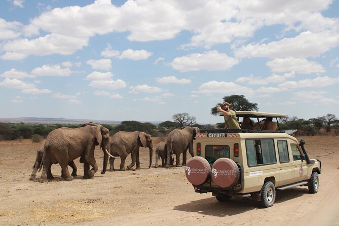 4 Days Tarangire Serengeti Ngorongoro Crater - Tarangire National Park: elephants first, baobabs nearby, picnic lunch included