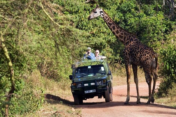 4 Days Tarangire Serengeti Ngorongoro Crater - Camping style, included meals, and what you should pack