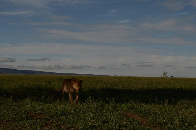 4 Days Tarangire ,Serengeti &Ngorongoro crater group Tour - Starting and ending in Arusha, the route makes sense