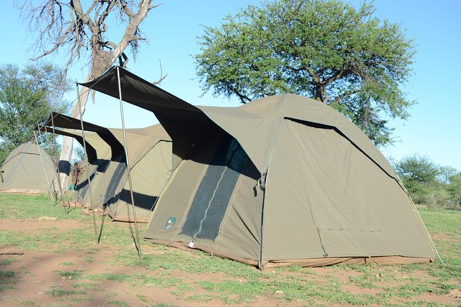 4 Days Tarangire ,Serengeti &Ngorongoro crater group Tour - Day 3 Serengeti at 6am, then off to Ngorongoro area