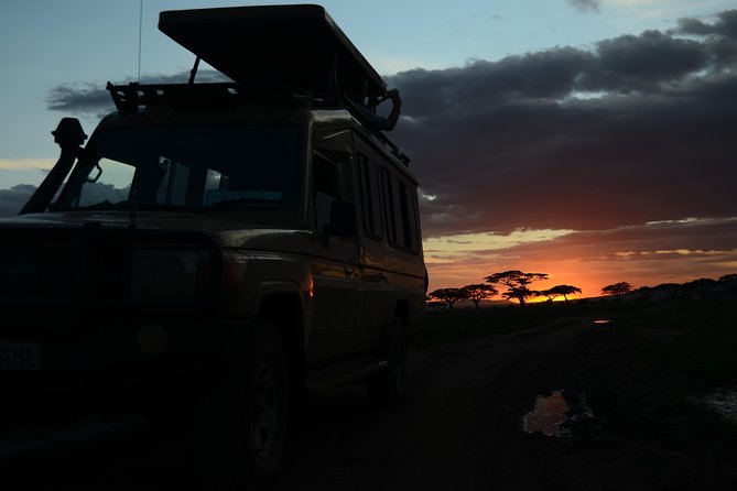 4 Days Tarangire ,Serengeti &Ngorongoro crater group Tour - Day 4 Ngorongoro Crater descent, 650m down for a half-day tour